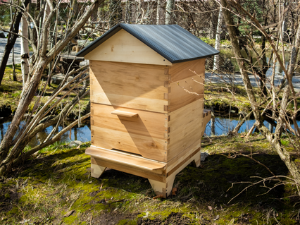 slider gallery image