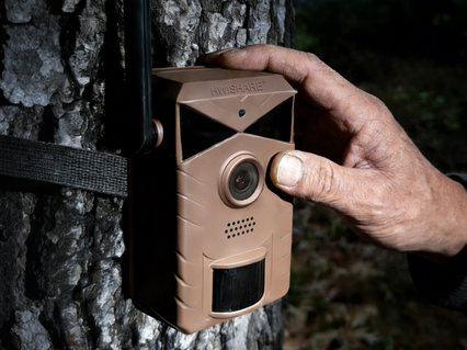 slider gallery image