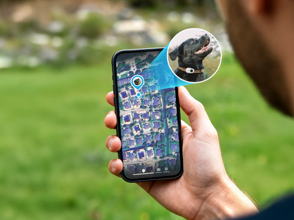 slider gallery image