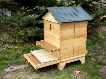 slider gallery image