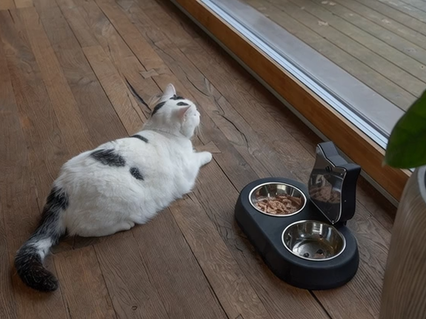 slider gallery image