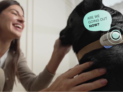 slider gallery image