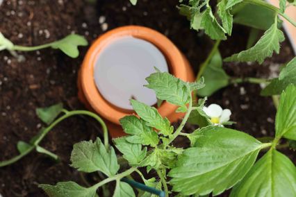 Garden Stack