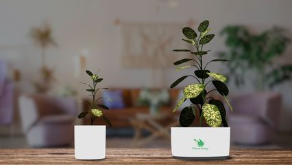 Makes your plants Bigger!