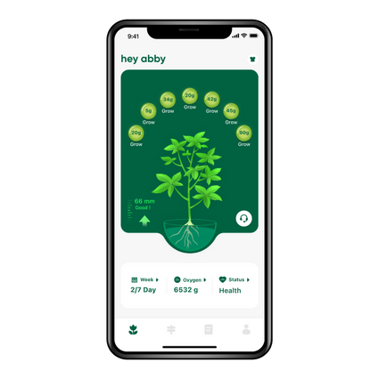 Instant Reports on your Plant