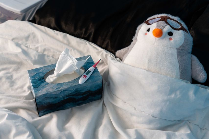 Experience Comfort Anywhere with ThermoSnug
