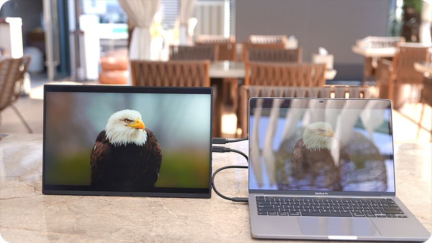 ACR Anti-Glare Display