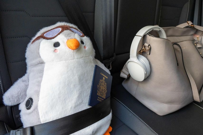 Experience Comfort Anywhere with ThermoSnug