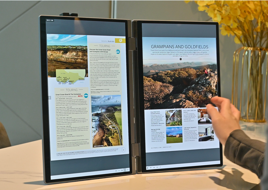 DUAL SCREENS DUAL FUN!