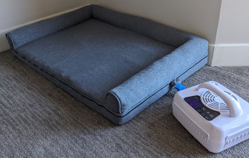 The Ultimate Dog Bed for a Good Night's Sleep