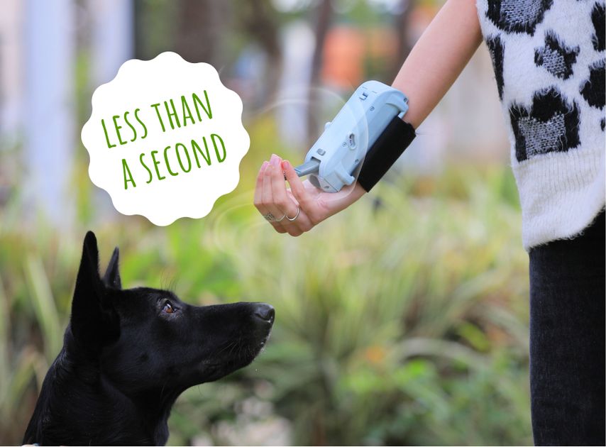 Tristo: The Dog Training Gamechanger