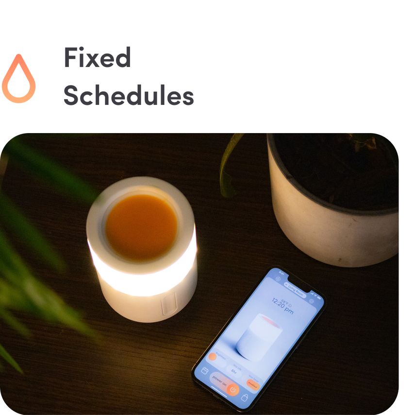 Schedules Built Around You